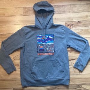 Patagonia Graphic Hoodie - NWOT Mens Large